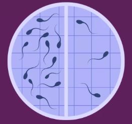 Low Sperm Analysis and Treatment